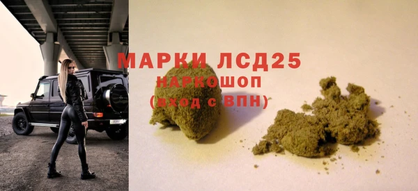 эйфоретик Алзамай