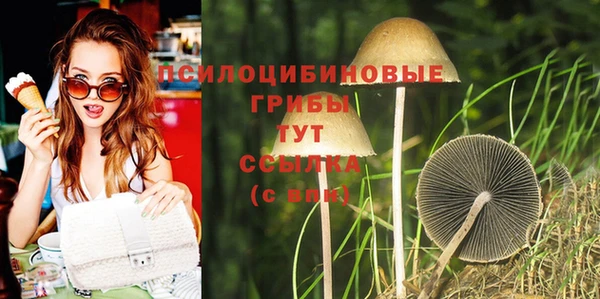 не бодяженный Алексин