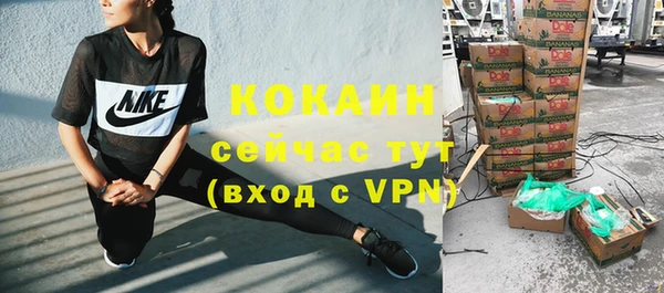 не бодяженный Алексин