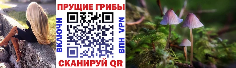 Галлюциногенные грибы ЛСД  маркетплейс наркотические препараты  Краснообск 